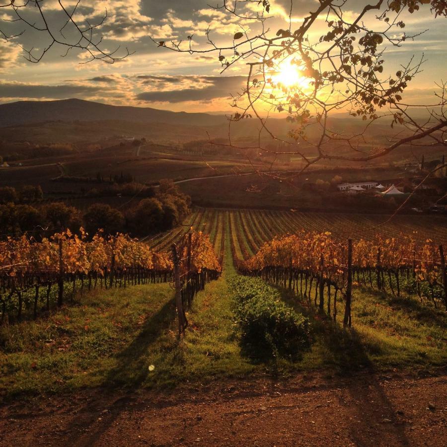 Residenza Cornino Lägenhet Castellina in Chianti Exteriör bild